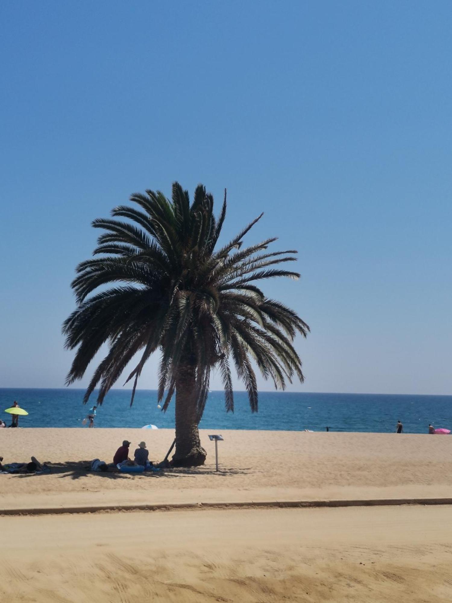 Apartamento Centrico En Calella Exteriér fotografie